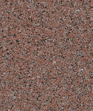 2022.6.22_14.31.42_2969