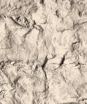 2025.4.12_17.34.41_8290