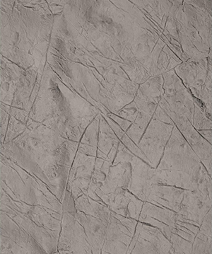 2025.4.12_17.48.29_4503