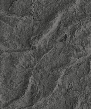 2025.4.14_16.58.39_7414